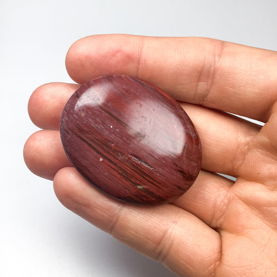 Petrified Wood Tumble Small - Rocks and Gems Canada
