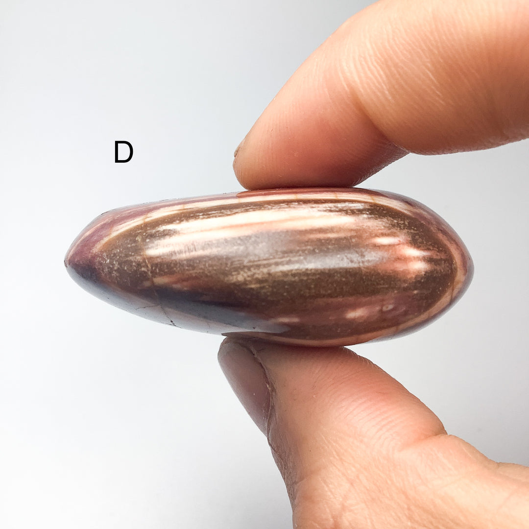 Petrified Wood Tumble Large - Rocks and Gems Canada