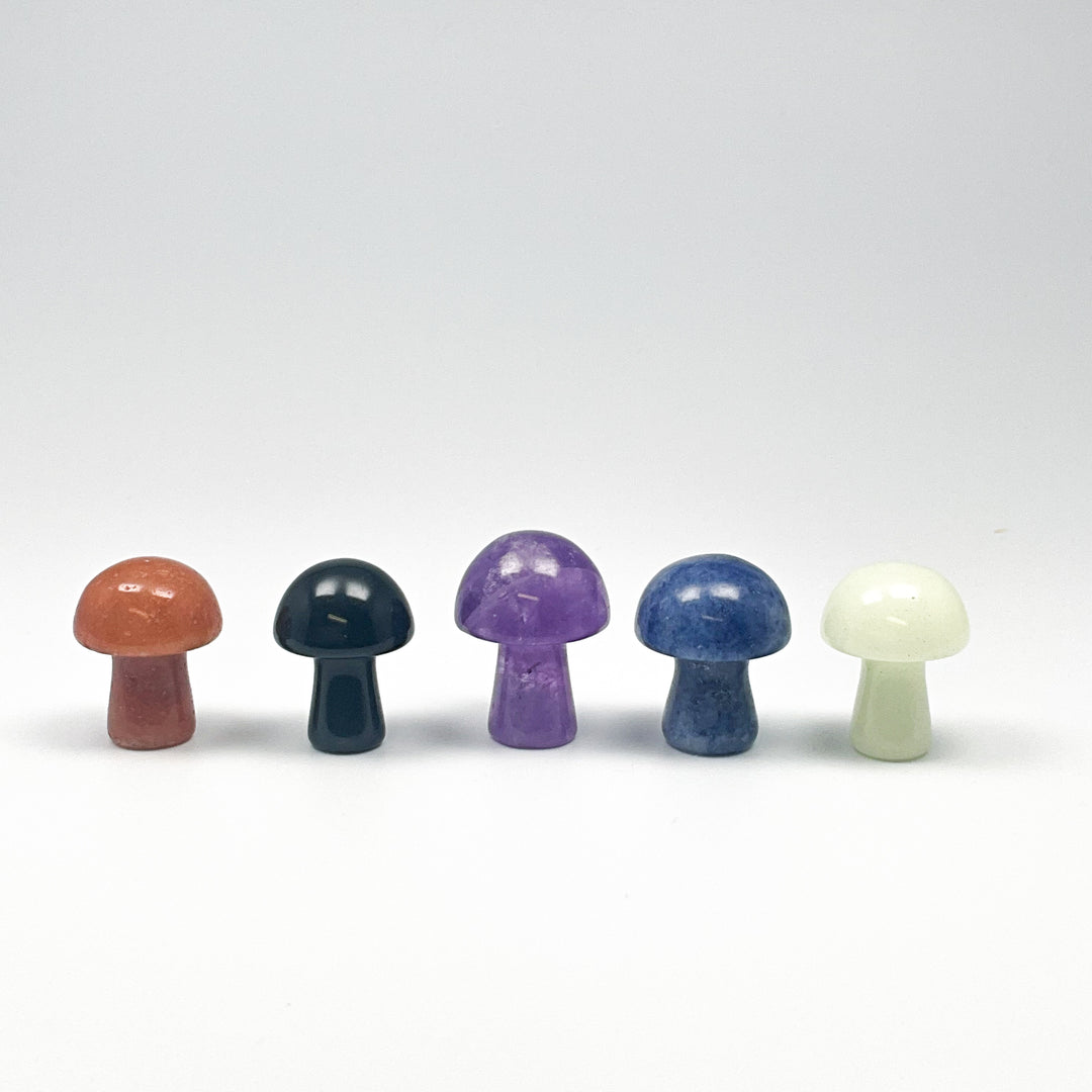 Gemstone Mushroom