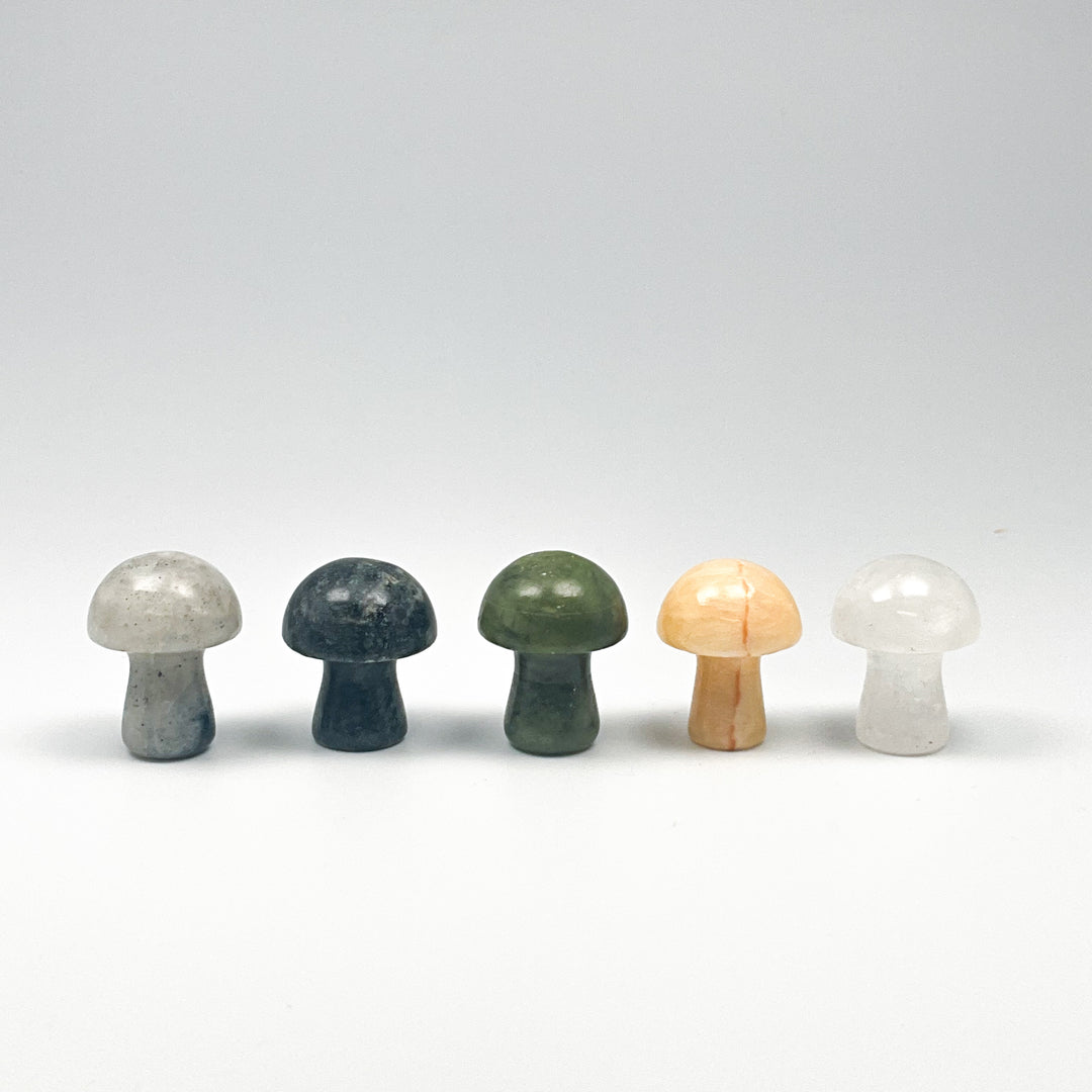 Gemstone Mushroom