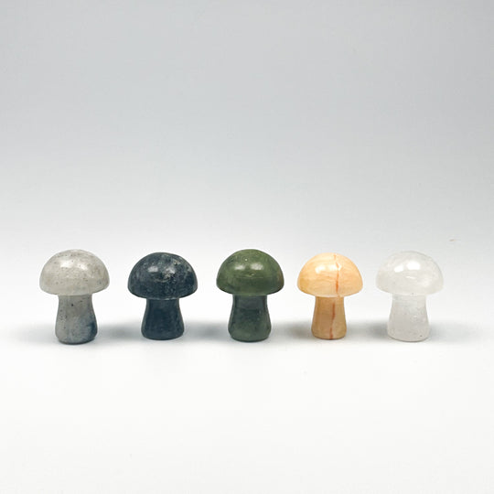 Gemstone Mushroom