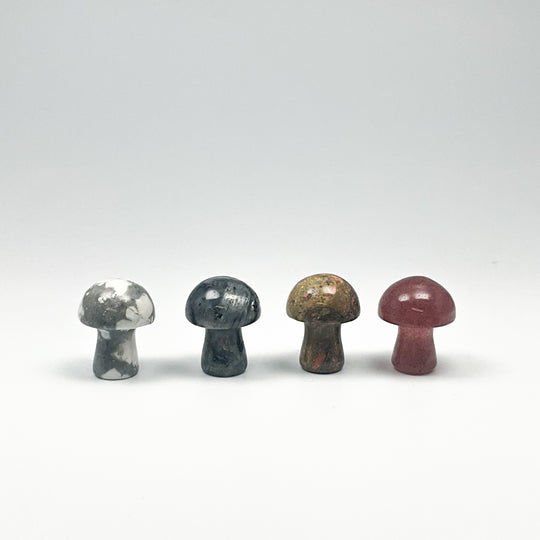 Gemstone Mushroom