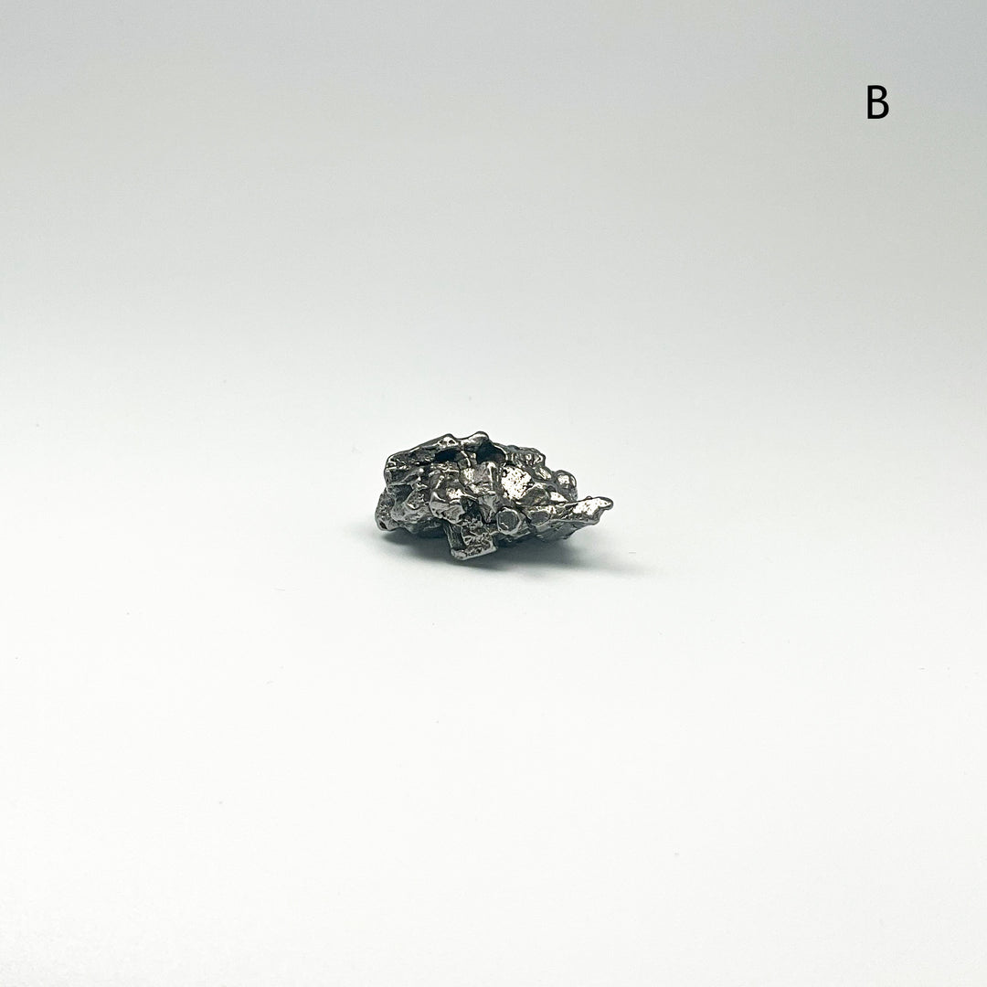 Campo Del Cielo Meteorite
