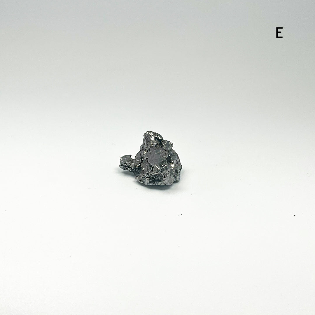 Campo Del Cielo Meteorite