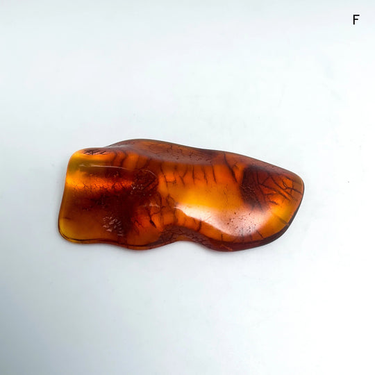 AmberSpecimen