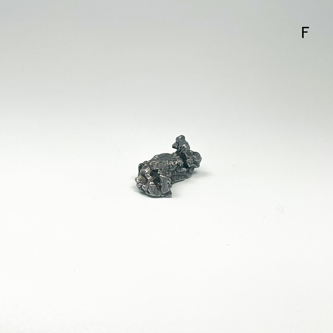 Campo Del Cielo Meteorite