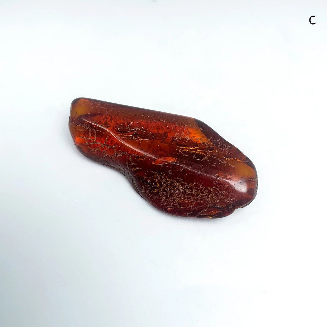 AmberSpecimen