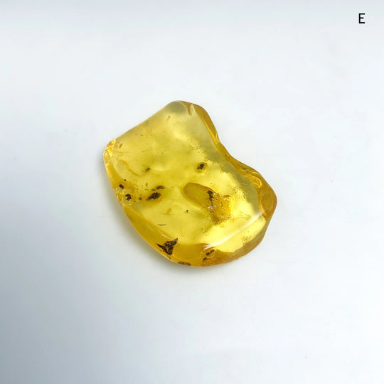 AmberSpecimen