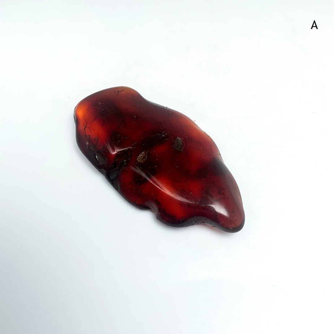AmberSpecimen