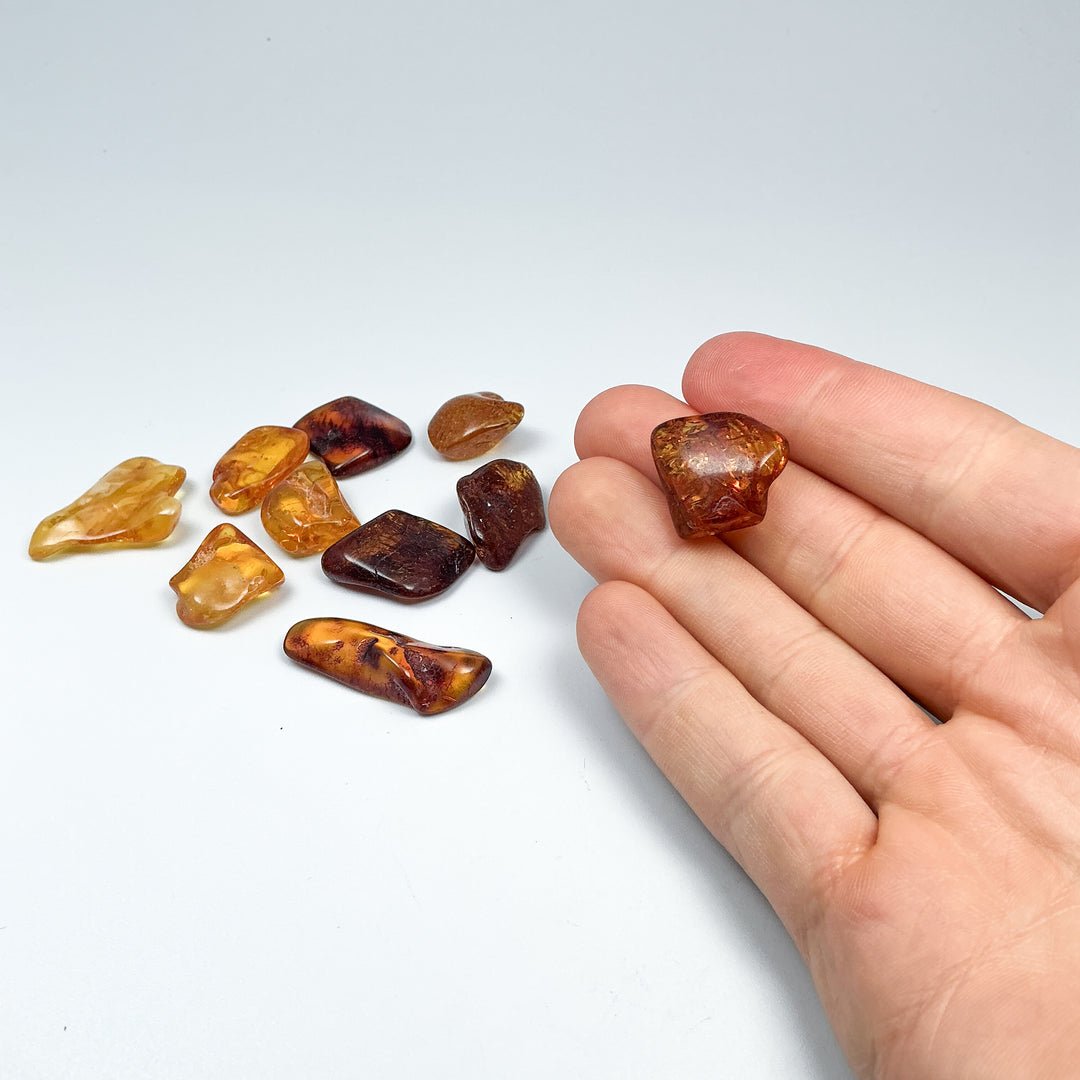 Amber Nugget