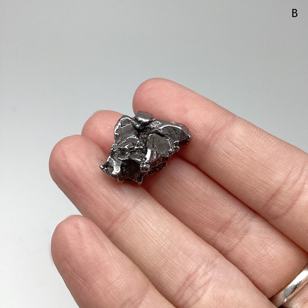 Campo Del Cielo Meteorite - Rocks and Gems Canada
