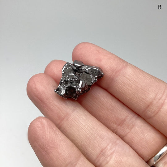 Campo Del Cielo Meteorite - Rocks and Gems Canada