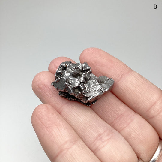 Campo Del Cielo Meteorite - Rocks and Gems Canada