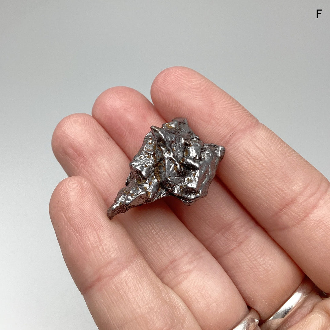 Campo Del Cielo Meteorite - Rocks and Gems Canada