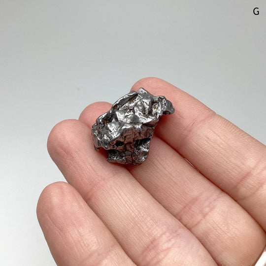 Campo Del Cielo Meteorite - Rocks and Gems Canada