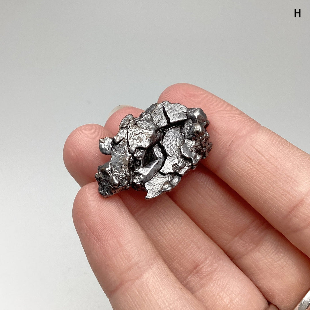 Campo Del Cielo Meteorite - Rocks and Gems Canada