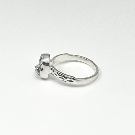 Campo Del Cielo Meteorite Ring - Rocks and Gems Canada