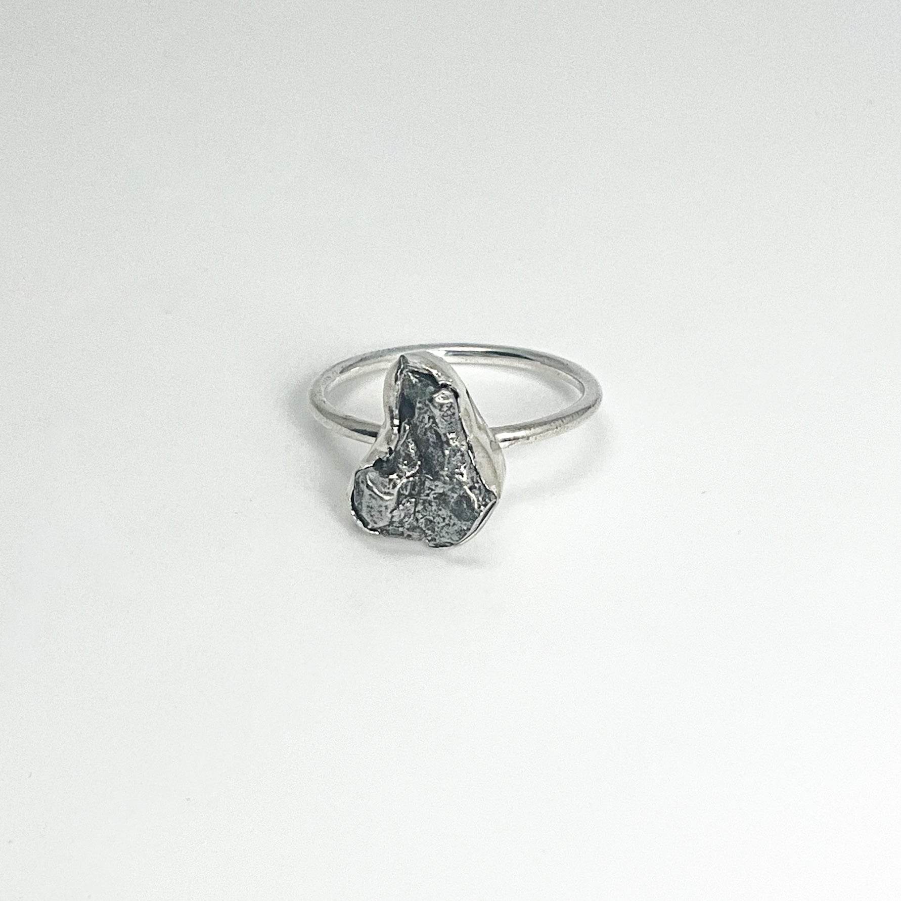 Campo Del Cielo Meteorite Ring - Rocks and Gems Canada