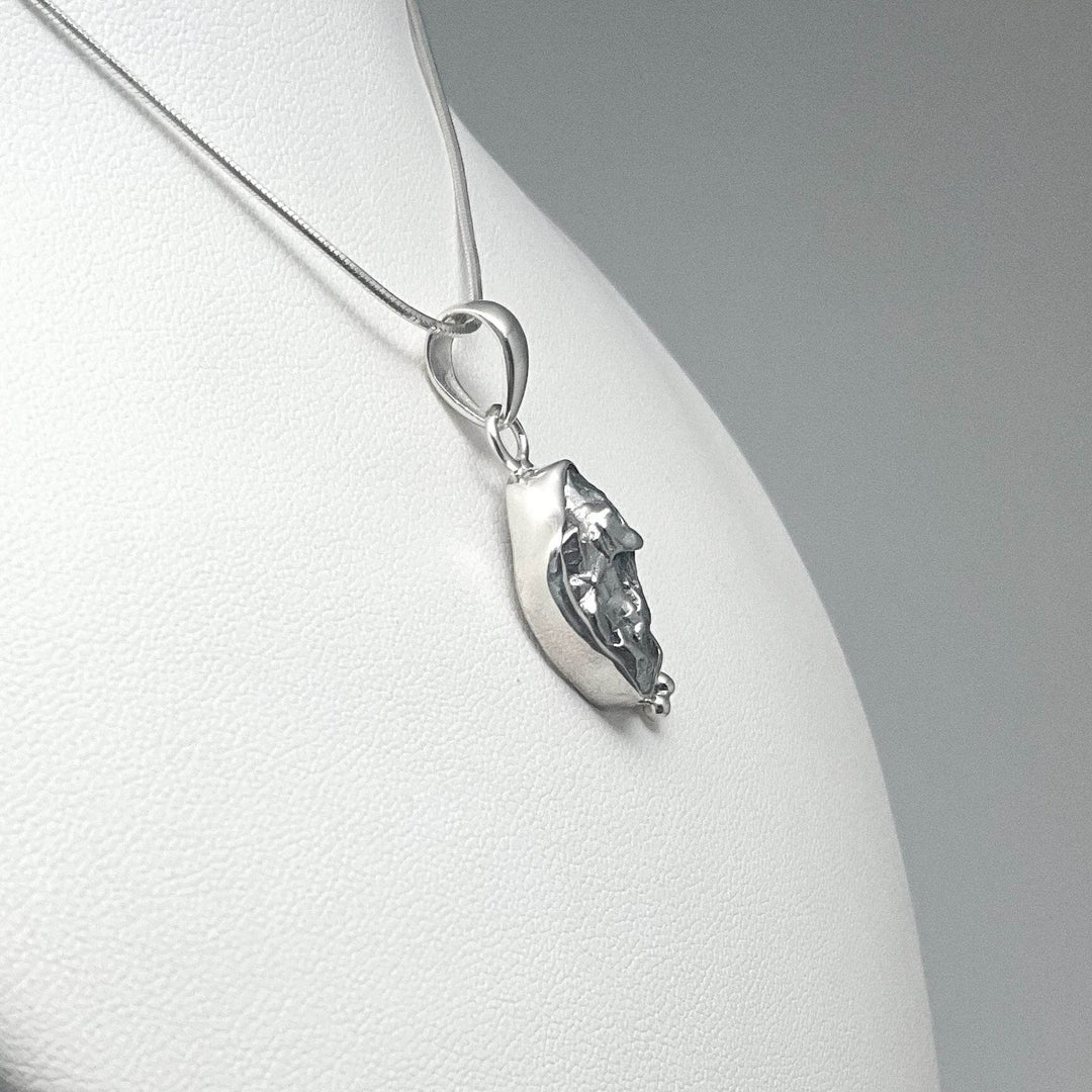 Campo Del Cielo Meteorite Pendant - Rocks and Gems Canada