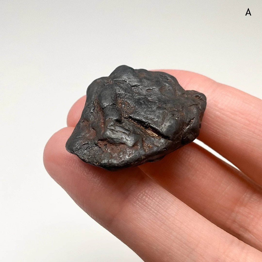 Uruacu Meteorite - Rocks and Gems Canada