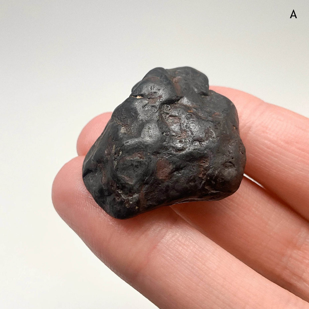 Uruacu Meteorite - Rocks and Gems Canada