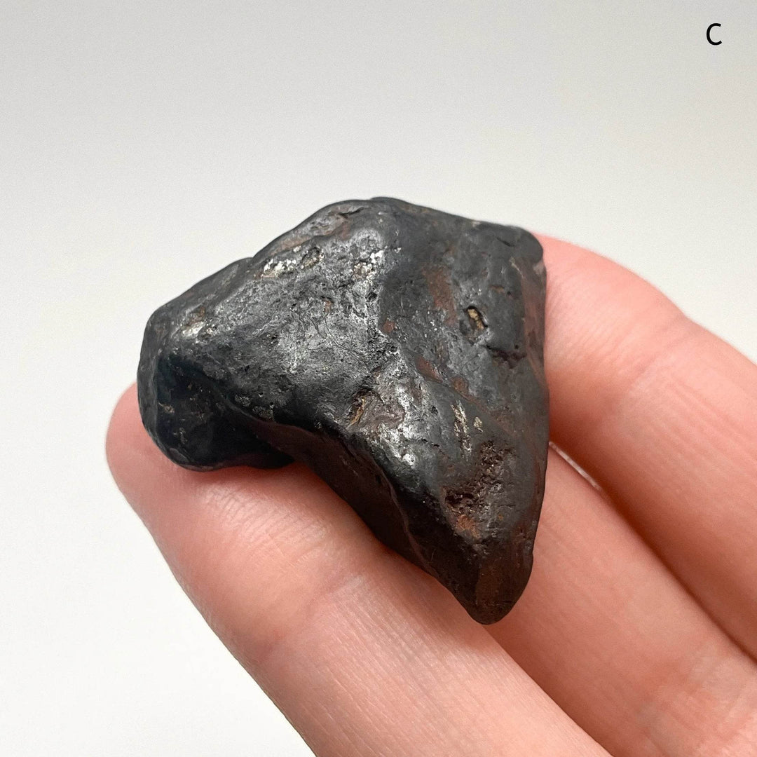 Uruacu Meteorite - Rocks and Gems Canada
