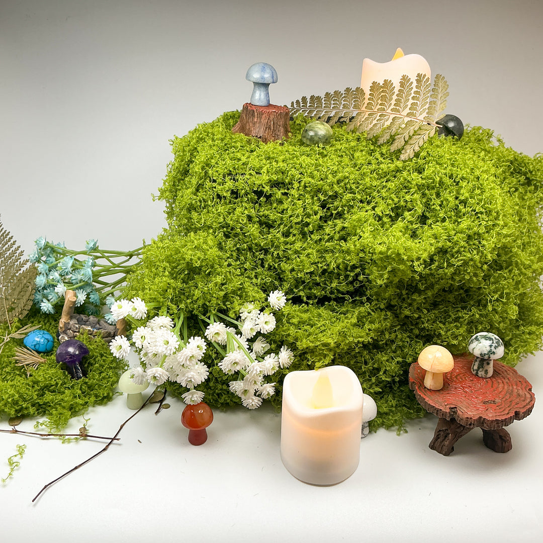 Gemstone Mushroom - Rocks and Gems Canada