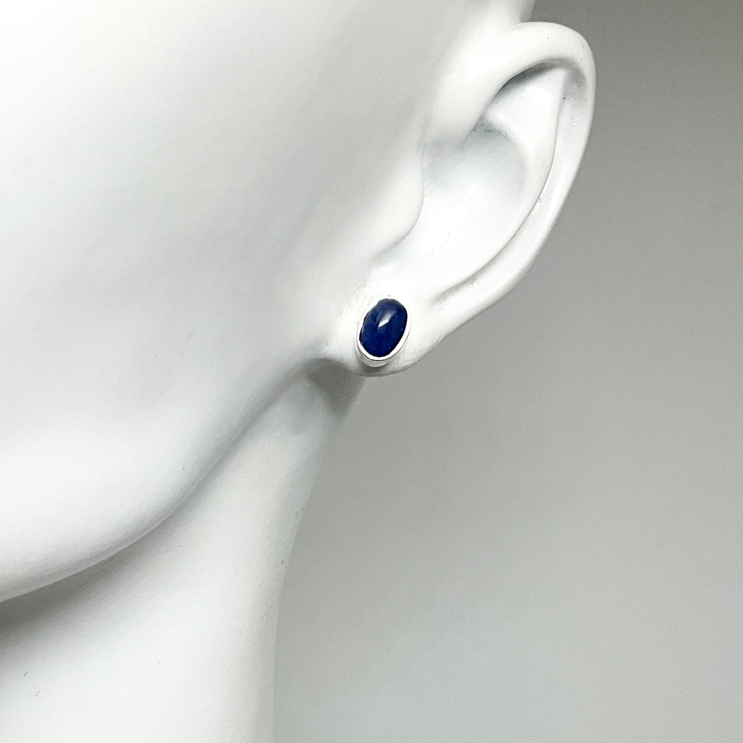 Sodalite Stud Earrings (Copy) - Rocks and Gems Canada
