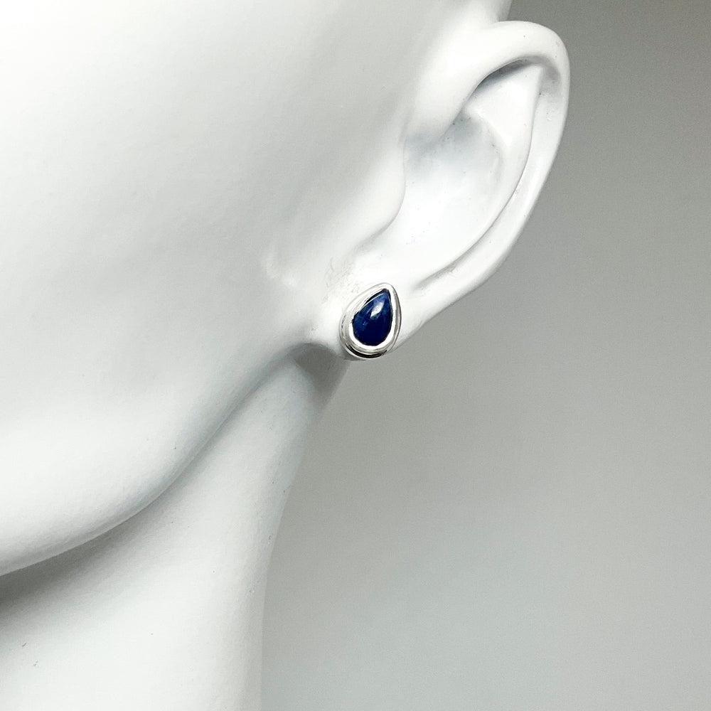 Sodalite Stud Earrings (Copy) - Rocks and Gems Canada