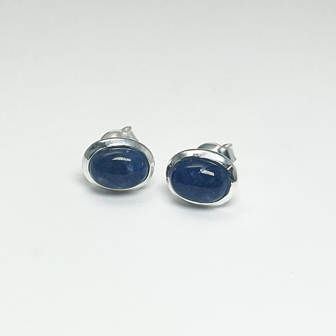 Sodalite Stud Earrings (Copy) - Rocks and Gems Canada