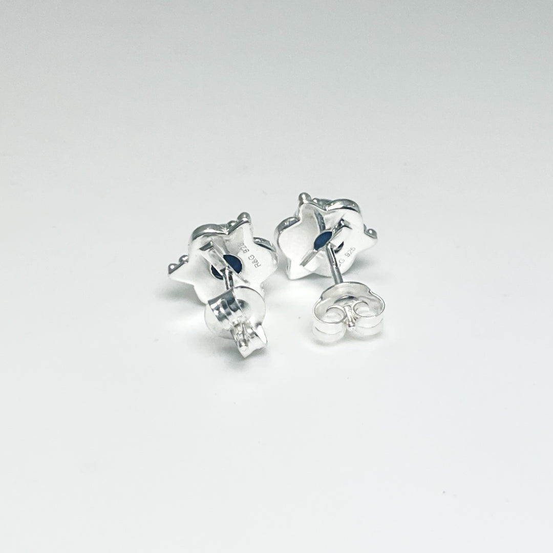 Sodalite Stud Earrings (Copy) - Rocks and Gems Canada