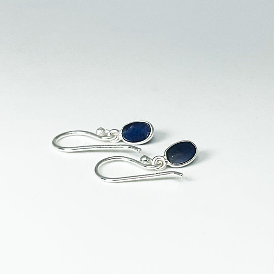 Sodalite Dangle Earrings