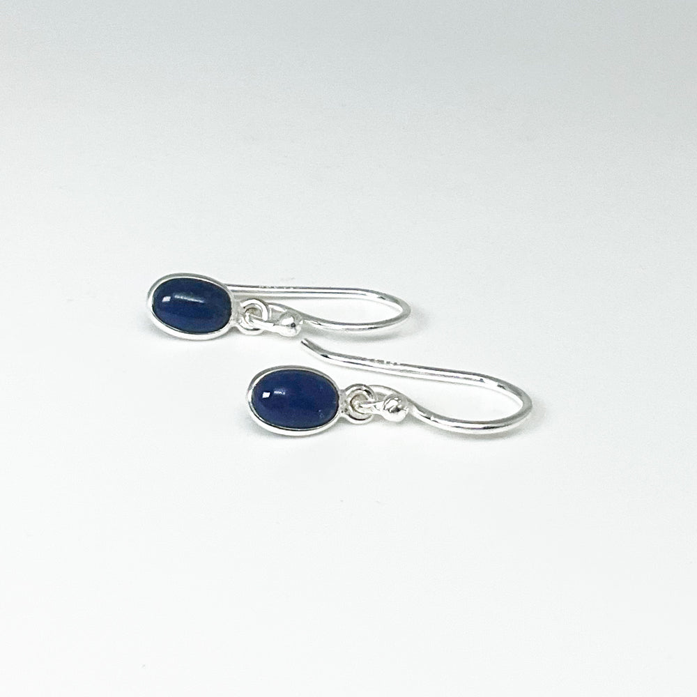 Sodalite Dangle Earrings