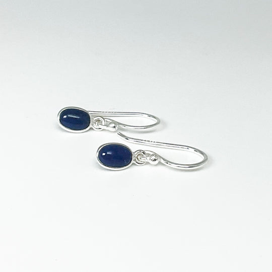 Sodalite Dangle Earrings