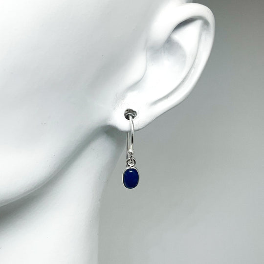 Sodalite Dangle Earrings