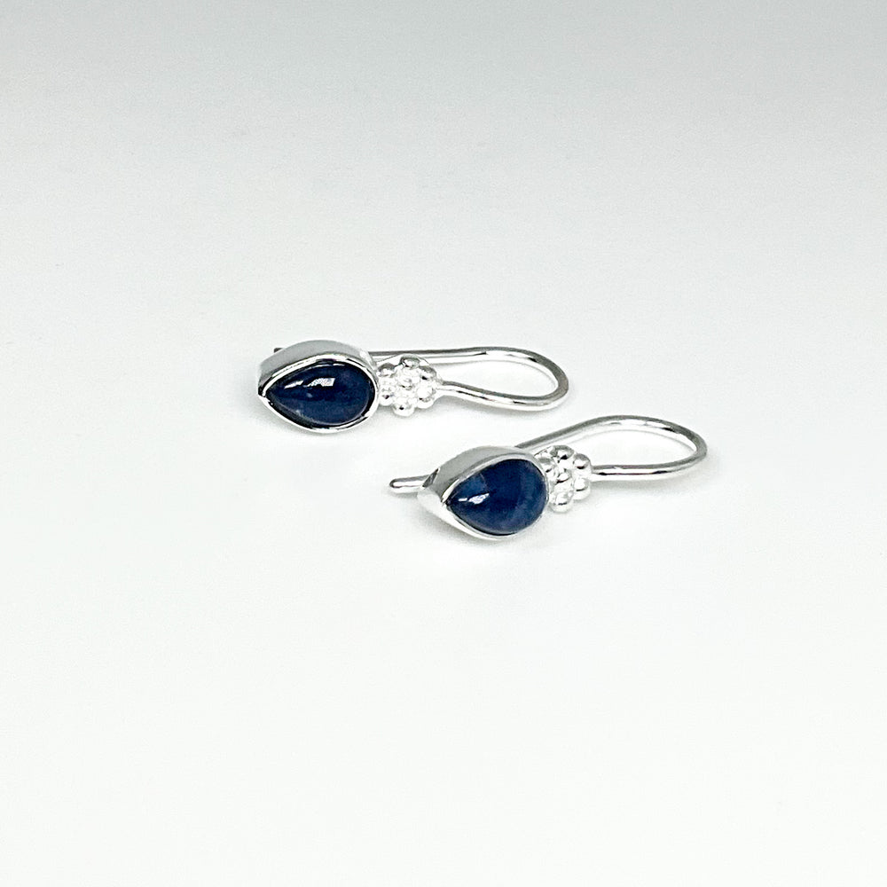 Sodalite Dangle Earrings