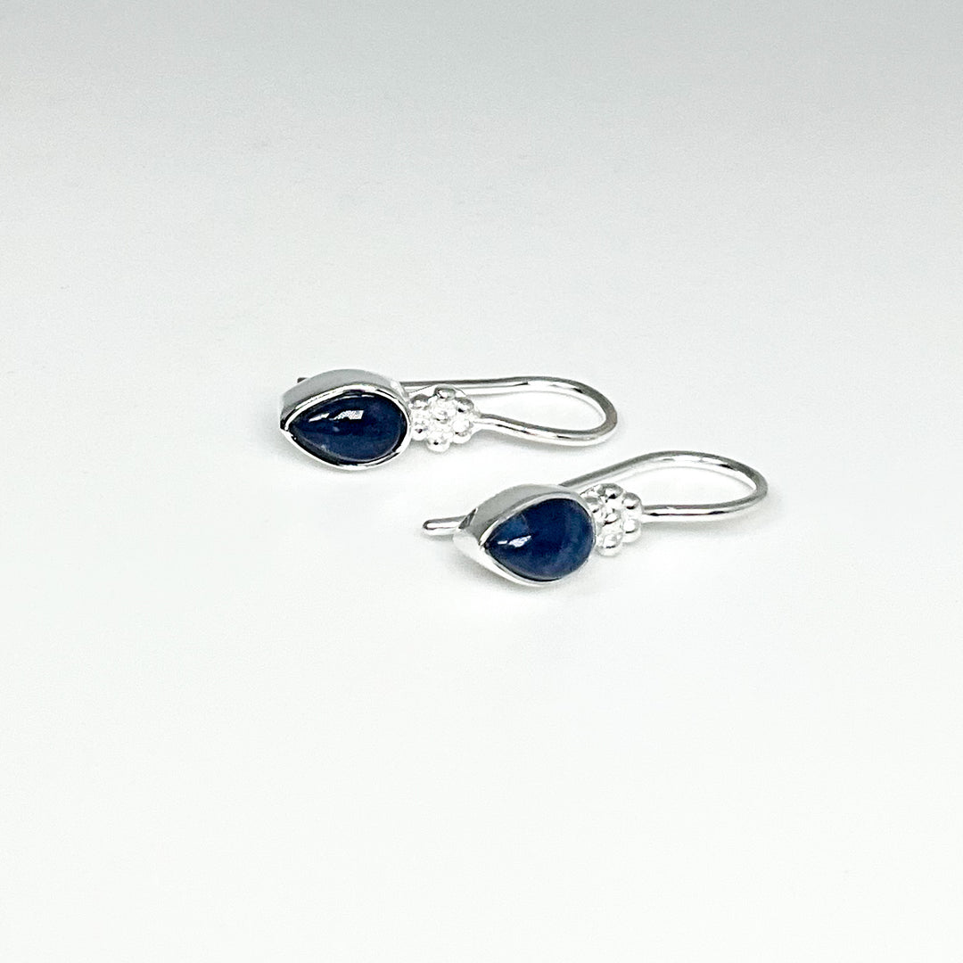 Sodalite Dangle Earrings