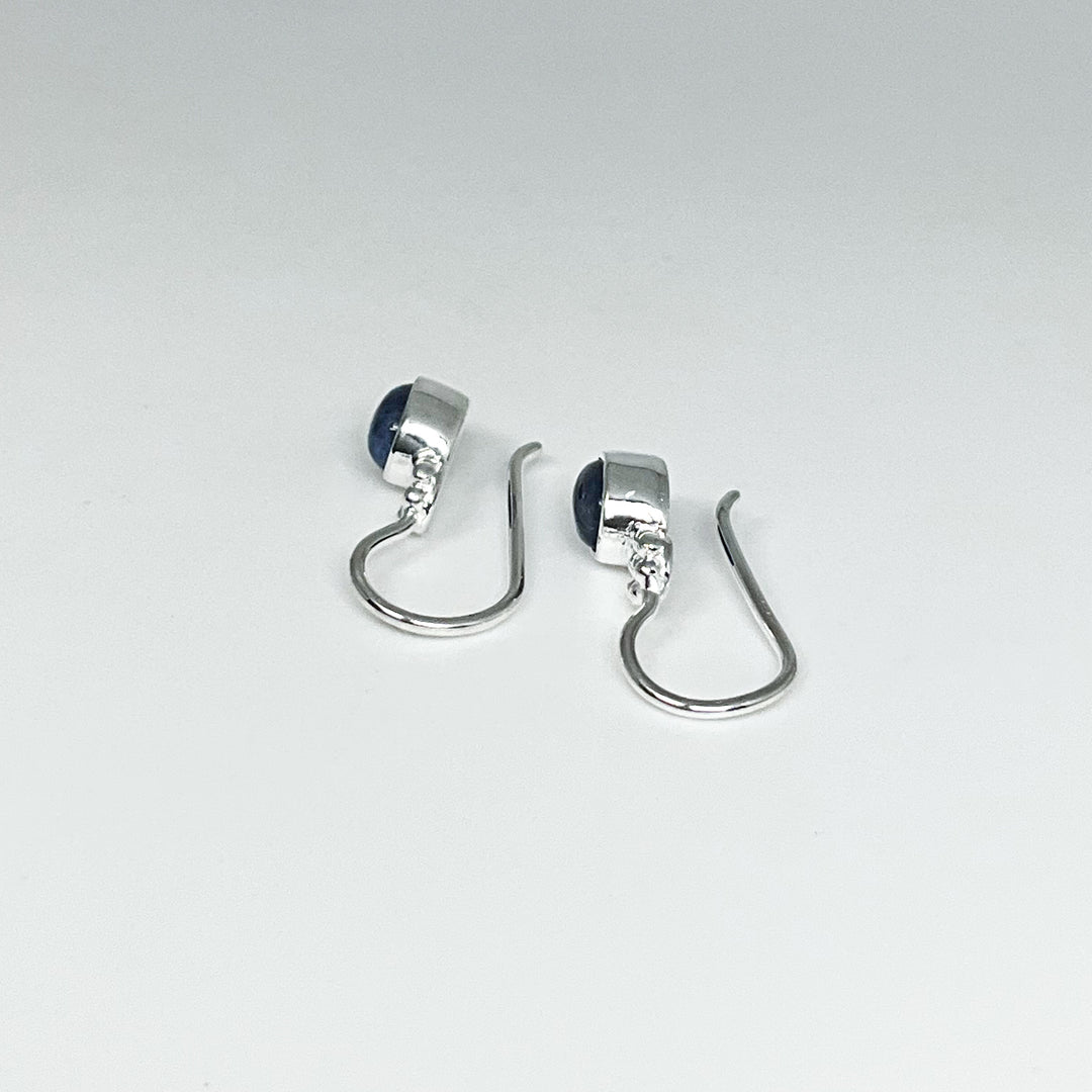 Sodalite Dangle Earrings