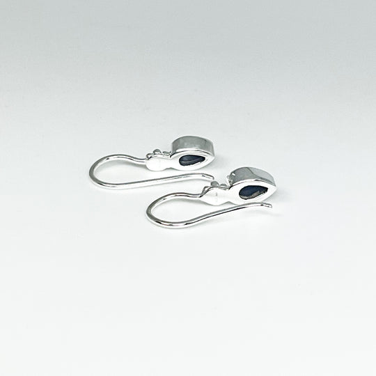 Sodalite Dangle Earrings