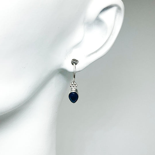 Sodalite Dangle Earrings