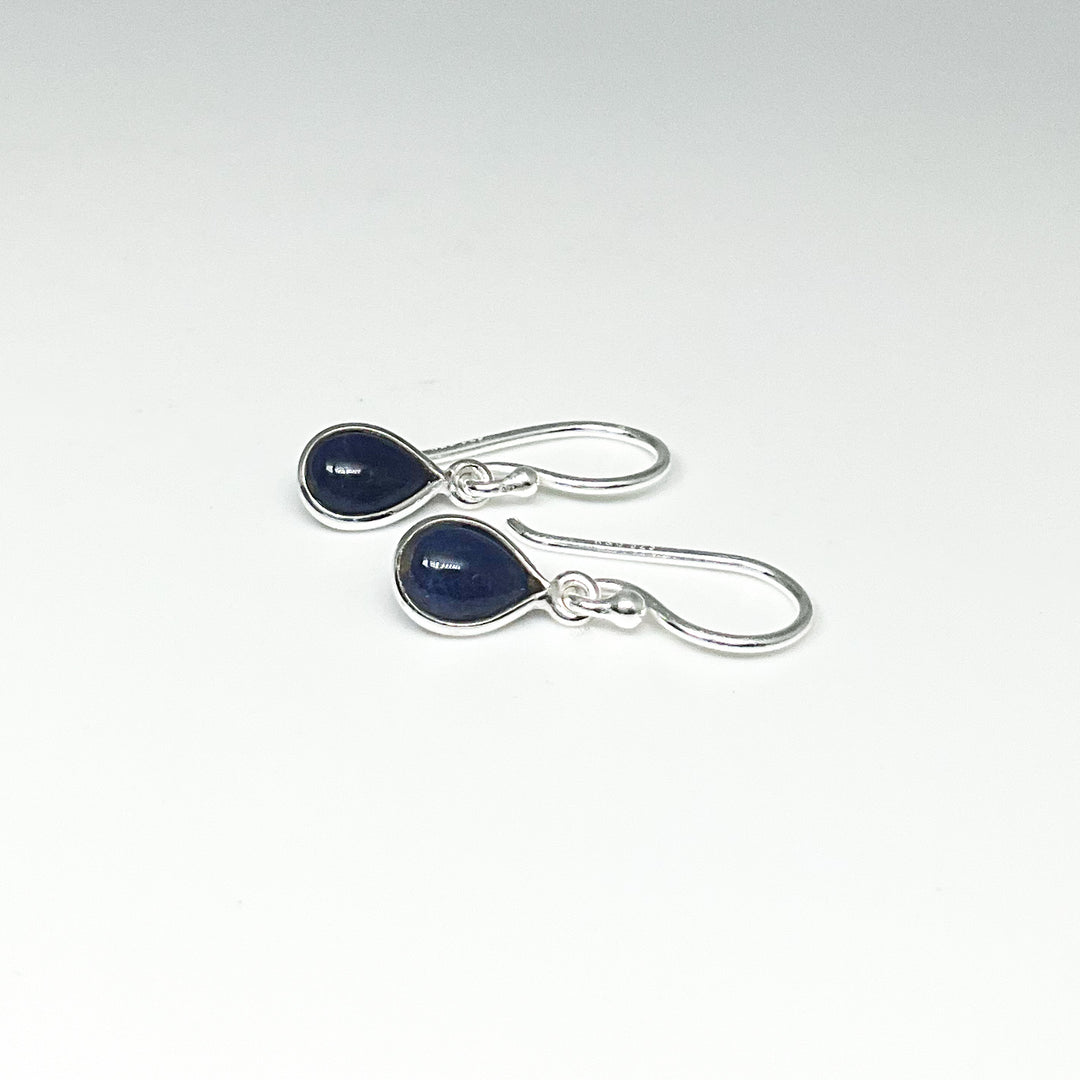 Sodalite Dangle Earrings