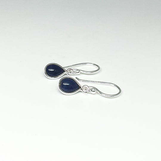 Sodalite Dangle Earrings
