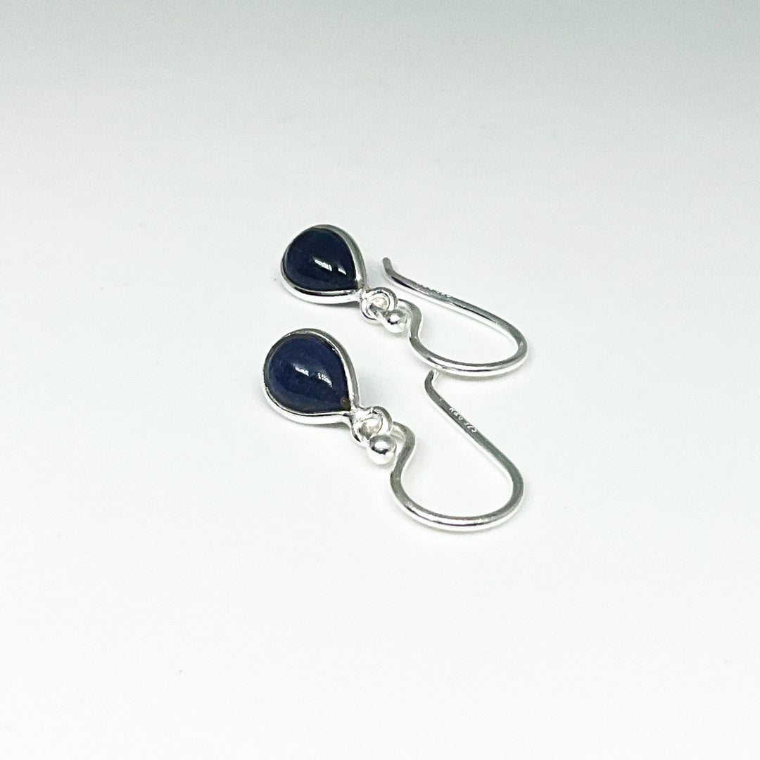 Sodalite Dangle Earrings