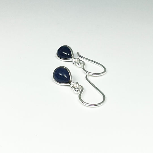Sodalite Dangle Earrings