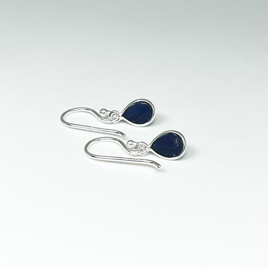 Sodalite Dangle Earrings