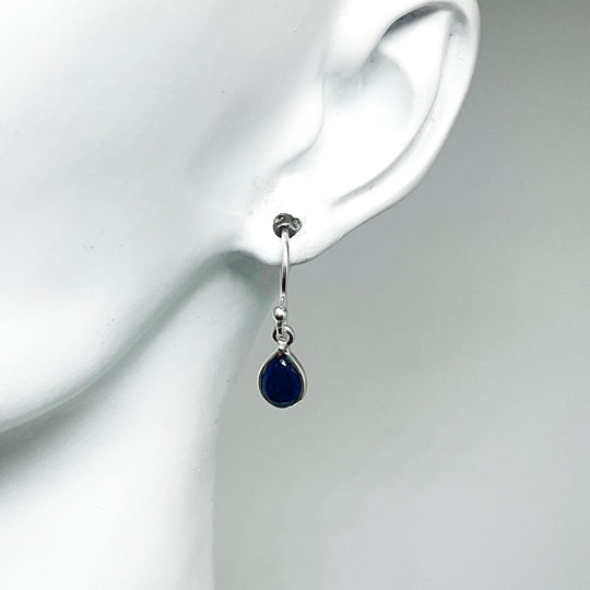 Sodalite Dangle Earrings