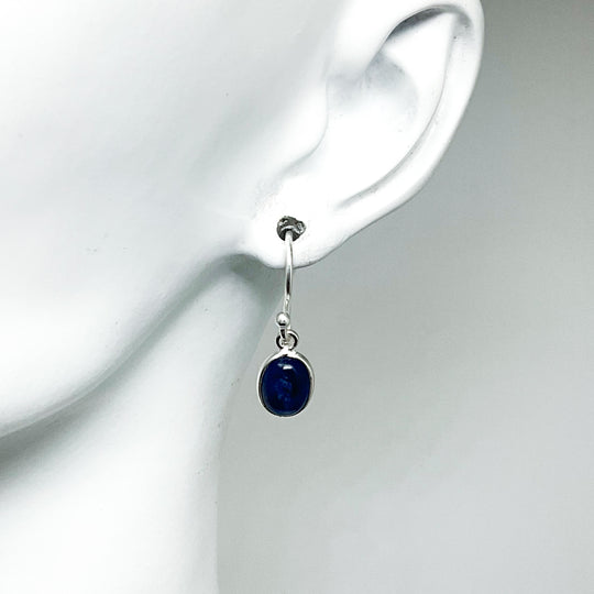 Sodalite Dangle Earrings