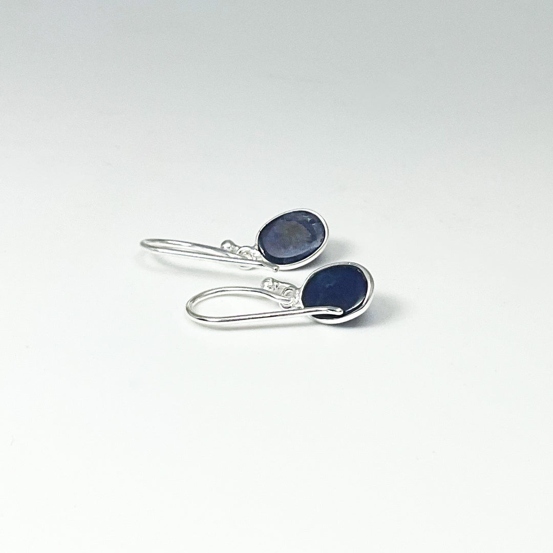 Sodalite Dangle Earrings