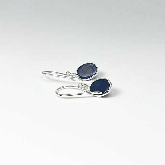 Sodalite Dangle Earrings