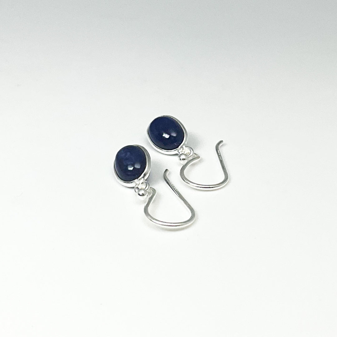 Sodalite Dangle Earrings